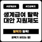 생계급여 탈락, 재신청 기다리는 동안 놓치면 안 되는 대안 지원제도 emergency-welfare-alternative