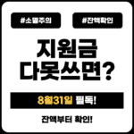 고유가지원금 다 못쓰면? 8월 31일 마감 전 잔액 소진 체크리스트 소멸주의_잔액확인